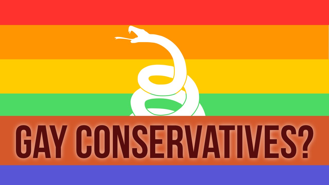 Gay Conservative 113
